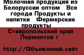 Молочная продукция из Белоруссии оптом - Все города Продукты и напитки » Фермерские продукты   . Ставропольский край,Лермонтов г.